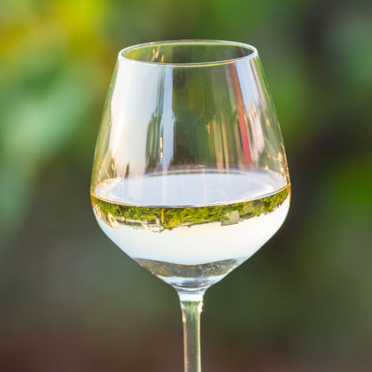 Vinos de la Región Vinho Verde